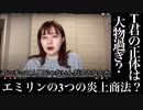 【暴露】エミリンの3つの炎上とT君の正体