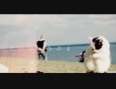 【ニコラップ 】だいじょうぶよ / 月人