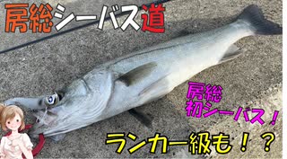 ささらさんと！房総シーバス道 part1