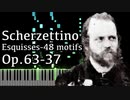【アルカン】48のモチーフ集ーエスキス第4巻第37番 - 小さな小さなスケルツォ  Op.63-37【Synthesia/Alkan/Scherzettino/Esquisses-48 motifs】