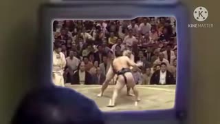 映像を見て研究をしていた肉丸