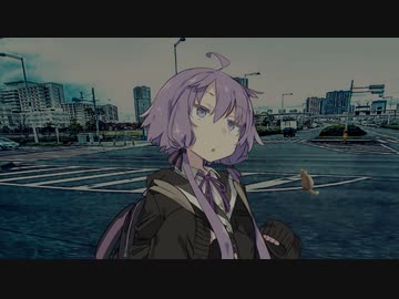 【VOICEROID劇場】或る日の兎は猫を偲ぶ