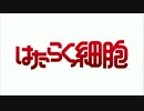 はたらく細胞 ～逆境無頼ブラック～