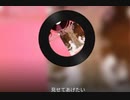 【歌ってみた】隣に行っても良いですか（作詞：神野守、作曲：Sound by Itself、歌：神野守）