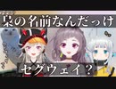 【ハリーポッター】セグウェイ扱いされるヘドウィグと爆笑のめと