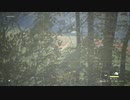 【#6】いつの間にかアニマルカメラマンになる男【the hunter: call of the wild】