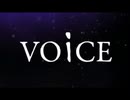 VOiCE　歌ってみた　【GauDy】