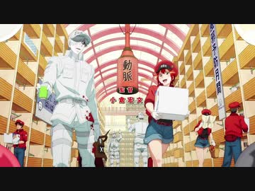 『はたらく細胞!!　OP 』 「GO!GO!細胞フェスタ」（FULL） 《center off vocal》