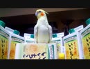 ひたすら「いいちこ」を叩きたい！（飼い主も理由は知らない）