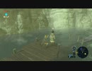 【ゼルダの伝説botW】村人を池ぽちゃしてみた結果wwwww
