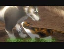 【トワプリ】ＨＤな尻に敷かれて厄動するケモノ【字幕プレイ動画その８９】