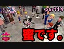 【実況】ミュウとガラルの英雄　part14【ミュウ単騎縛り】