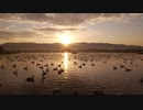 風に聞け　２１０１１０　Breatha - josh pan