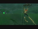 依頼を受けて、流鏑馬ミニゲームの時にライネルに飛び乗ってみた