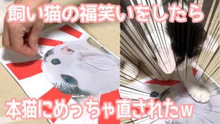 飼い猫の福笑いをしていたら、本人（本猫）にめっちゃ直されたｗ