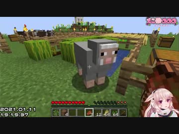 【どっとライブ】新人に頼もしい背中をみせるマママトン【もこ田めめめ】