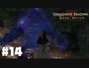 仕事辞めたので覚者になる。#14【ドラゴンズドグマダークアリズン】【DDDA】