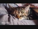 dreamin' feat. 初音ミク