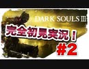 【ダークソウル】ボス戦決着⁉　完全初見実況＃2