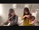 お正月の定番BGM「春の海」洋楽器で演奏してみた