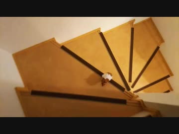 迫り来るハムスタープロの階段登り