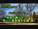次はジョージアで梅ジャンプ2(沙門のちょい遅れがちなNEWS)