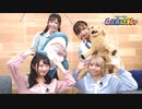 【コラボ放送！】涼本あきほ・永井真里子の「しぇあはうしゅ」#23【ほうらない】前半無料パート！