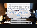 [ピアノ　鍵盤M譜] ドライフラワー / 優里　(offvocal　歌詞：あり /　ガイドメロディーあり)