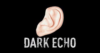 【ホラーゲーム】音だけの世界で脱出を試みる【DARK ECHO】