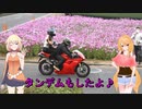 ＲＧ２５０Γと１０９８Ｓで行く！白黒犬さん二回目の鹿児島♪