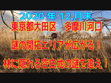 多摩川「（六郷橋付近）に突如現れた「開拓地（更地）」の謎を追え！+ルポルタージュ