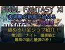 【FF11】超ぬるい全ジョブ紹介！第三回　ナイト　暗黒騎士