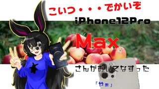 iPhone12ProMaxさんがやってきた（開封編）