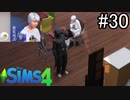 【実況】ぼくとゆかいな仲間の楽しい生活【SIMS4】part30