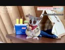 コミカルに動く「ショウガラゴ」にかわいい！の声