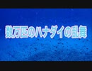 珊瑚礁の周りでハナゴイ数万匹の乱舞！渡嘉敷島ダイビング