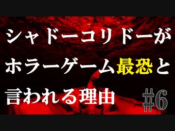 超ビビりの友人にswitch最恐ホラーゲームを実況させてみた【シャドーコリドー・影廊】#6