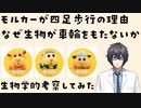 モルカーが四足歩行の理由　なぜ生物が車輪をもたないか【生命科学Vtuber】