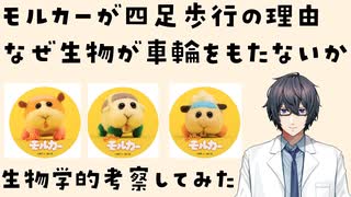 モルカーが四足歩行の理由　なぜ生物が車輪をもたないか【生命科学Vtuber】