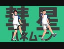 【テニプリ人力】黄金ペアで彗星ハネムーン【テニプリMMD】