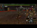 【MHP2ndG】画質＆うｐ方法etc...テスト