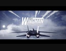 Project Wingman 難易度傭兵・隠し機体未使用 M11