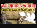【米相場】これも江戸時代版インサイダー取引かも！？鳩に飛脚に、旗振り通信が大活躍！？