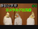 【静寂の世界】＃8 一人餌間近エメラルド三兄弟！