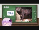 【結月ゆかり】今日は何の日？【2021年1月14日(木)】