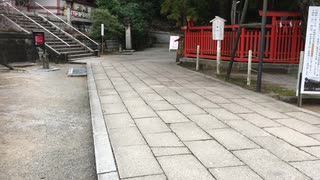 少し暖かくなったので神社に初詣に行ってきました　初めて「世界平和」を神様にお願いしてみた