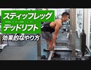 スティッフレッグデッドリフトの効果的なやり方 | ハムストリングに効かせる！【ビーレジェンド プロテイン】