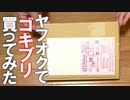 【ヤフオク満足度100％⁉】ヤフオクでデュビアを買ってみた結果【ゴキバンク】