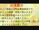 狐と獅子と猫の遠征記録～其の二～【第４回】