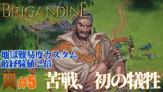 【ミレルバ編】ブリガンダイン ルーナジア戦記 実況したいん Part5